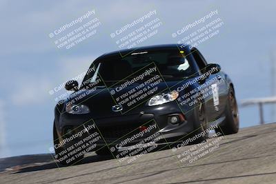 media/Mar-02-2025-Speed Ventures (Sun) [[ad7ca67825]]/Purple Group/Session 1/